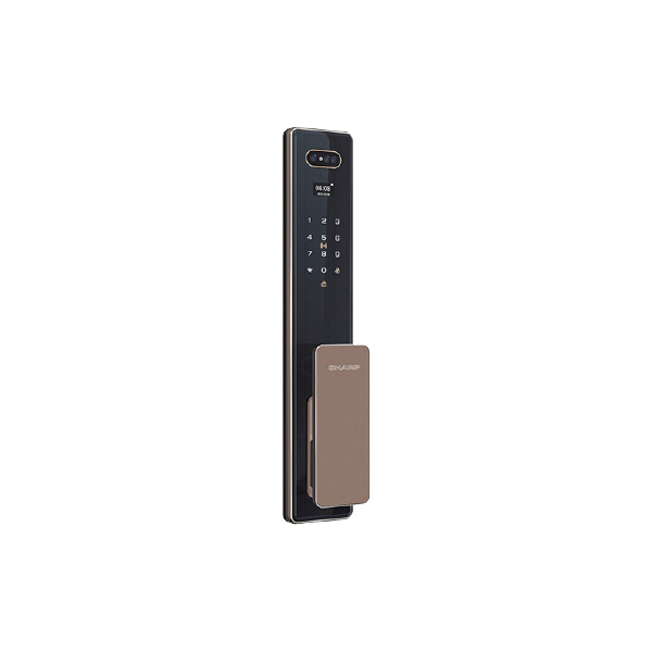 Sharp S6-FV Brown