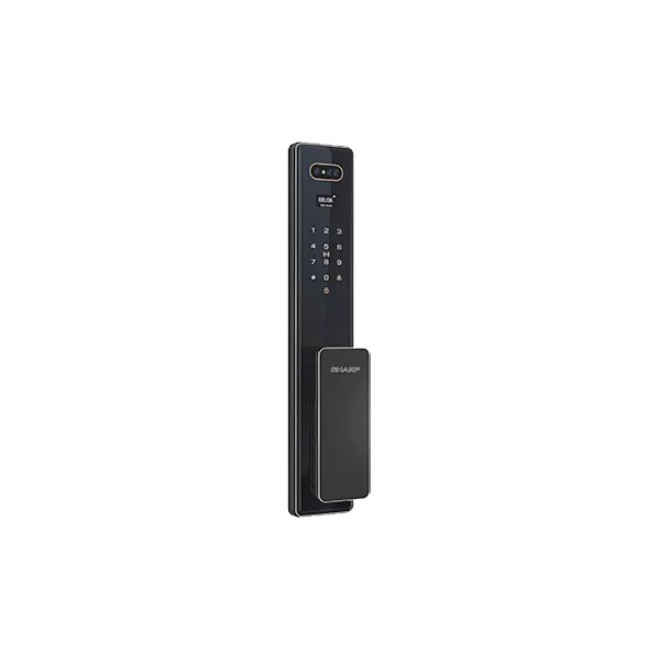 Sharp S6-FV