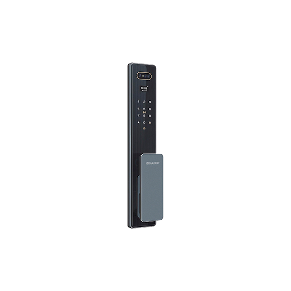Sharp S6-FV
