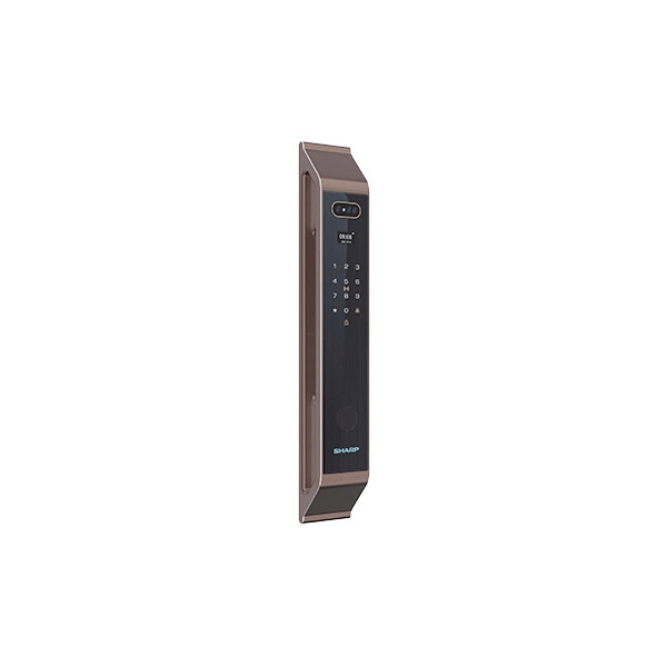 Sharp S9-FV Brown