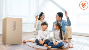 Két Sắt Gia Đình – Giải Pháp Bảo Vệ Dễ Dùng Cho Cuộc Sống Tiện Nghi